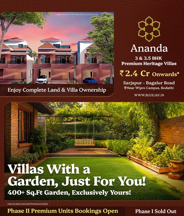 Bluejay Ananda 8 Dec