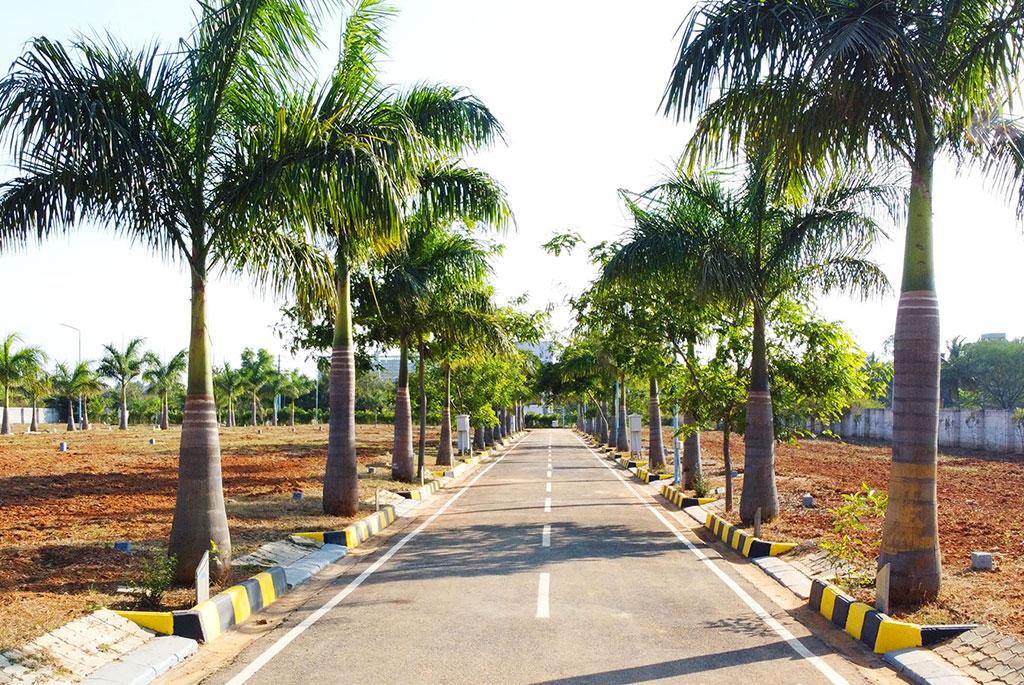  Uttar Villa plots 